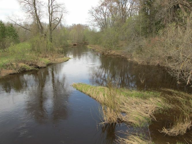 Maakond: Võrumaa Veekogu nimi: Peetri jõgi Pildistamise aeg: 28. aprill 2012 Pildistaja: H. Timm Pildistamise koht: Utra Asimuut: