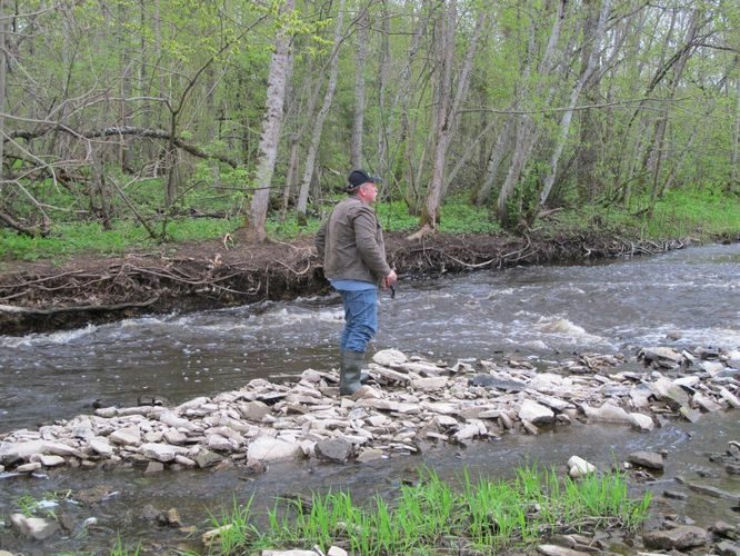 Maakond: Võrumaa Veekogu nimi: Peetri jõgi Pildistamise aeg: 7. mai 2012 Pildistaja: H. Timm Pildistamise koht: Kalkahju Asimuut: