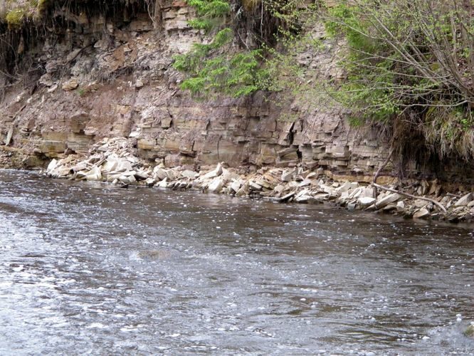 Maakond: Võrumaa Veekogu nimi: Peetri jõgi Pildistamise aeg: 7. mai 2012 Pildistaja: H. Timm Pildistamise koht: Kalkahju Asimuut: