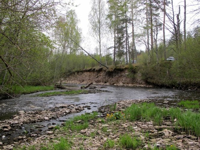 Maakond: Võrumaa Veekogu nimi: Peetri jõgi Pildistamise aeg: 7. mai 2012 Pildistaja: H. Timm Pildistamise koht: Kalkahju Asimuut: