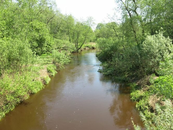 Maakond: Võrumaa Veekogu nimi: Peetri jõgi Pildistamise aeg: 20. mai 2014 Pildistaja: H. Timm Pildistamise koht: Tiitsa Asimuut: