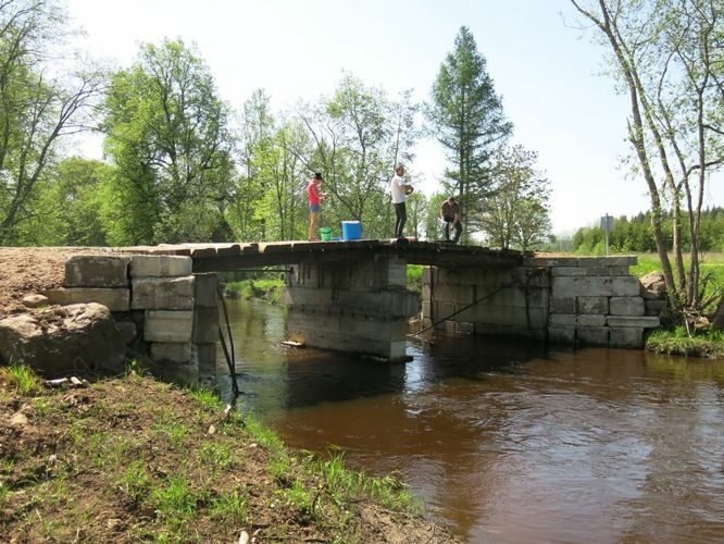 Maakond: Võrumaa Veekogu nimi: Peetri jõgi Pildistamise aeg: 20. mai 2014 Pildistaja: H. Timm Pildistamise koht: Leppura sild Asimuut: