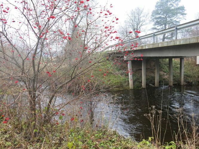 Maakond: Võrumaa Veekogu nimi: Peetri jõgi Pildistamise aeg: 30. oktoober 2014 Pildistaja: H. Timm Pildistamise koht: Karisöödi Asimuut: