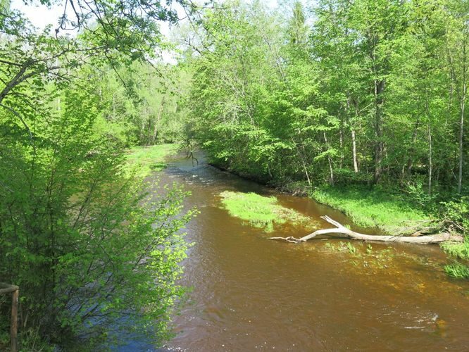 Maakond: Võrumaa Veekogu nimi: Peetri jõgi Pildistamise aeg: 20. mai 2014 Pildistaja: H. Timm Pildistamise koht: Kalkahju Asimuut: