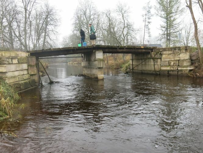 Maakond: Võrumaa Veekogu nimi: Peetri jõgi Pildistamise aeg: 30. oktoober 2014 Pildistaja: H. Timm Pildistamise koht: Leppura Asimuut: