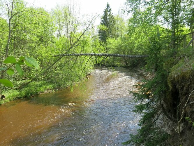 Maakond: Võrumaa Veekogu nimi: Peetri jõgi Pildistamise aeg: 20. mai 2014 Pildistaja: H. Timm Pildistamise koht: Kalkahju Asimuut: