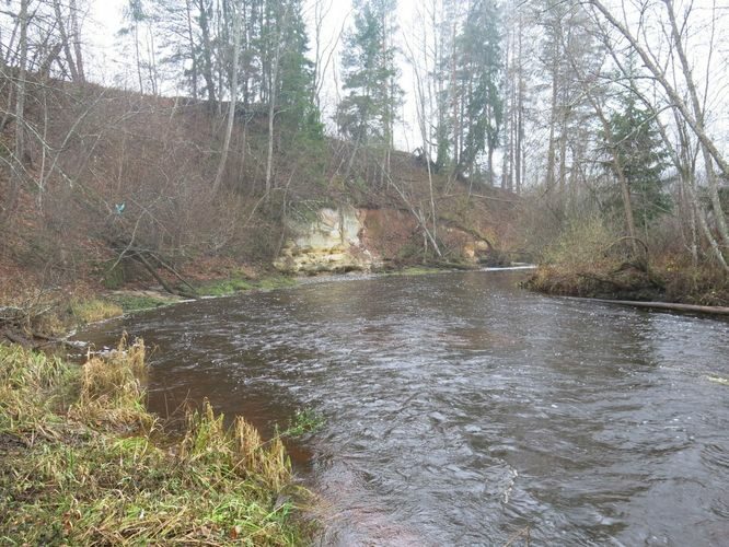 Maakond: Võrumaa Veekogu nimi: Peetri jõgi Pildistamise aeg: 30. oktoober 2014 Pildistaja: H. Timm Pildistamise koht: Karisöödi Asimuut: