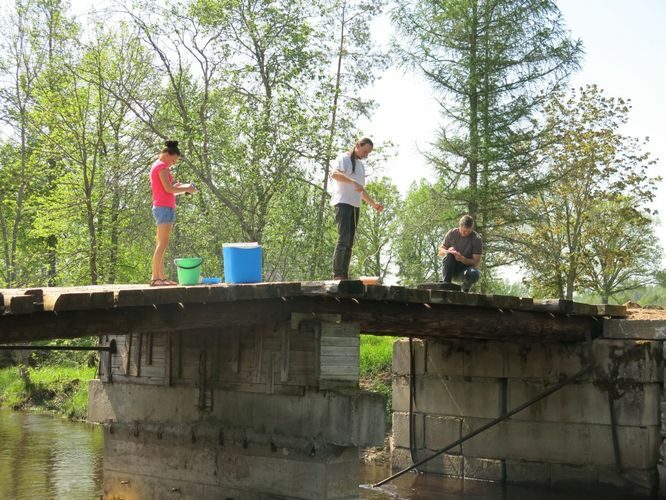 Maakond: Võrumaa Veekogu nimi: Peetri jõgi Pildistamise aeg: 20. mai 2014 Pildistaja: H. Timm Pildistamise koht: Leppura sild Asimuut: