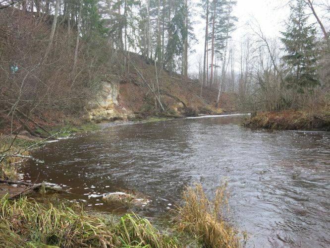 Maakond: Võrumaa Veekogu nimi: Peetri jõgi Pildistamise aeg: 30. oktoober 2014 Pildistaja: H. Timm Pildistamise koht: Karisöödi Asimuut: