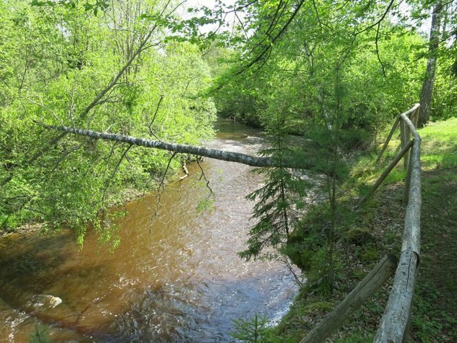 Maakond: Võrumaa Veekogu nimi: Peetri jõgi Pildistamise aeg: 20. mai 2014 Pildistaja: H. Timm Pildistamise koht: Kalkahju Asimuut: