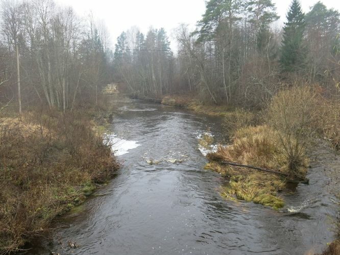 Maakond: Võrumaa Veekogu nimi: Peetri jõgi Pildistamise aeg: 30. oktoober 2014 Pildistaja: H. Timm Pildistamise koht: Karisöödi Asimuut: