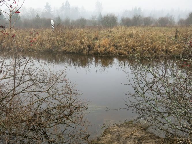 Maakond: Võrumaa Veekogu nimi: Peetri jõgi Pildistamise aeg: 30. oktoober 2014 Pildistaja: H. Timm Pildistamise koht: Läti piir Asimuut: