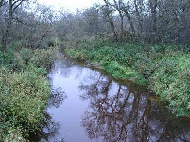 Maakond: Võrumaa Veekogu nimi: Piitrejõgi Pildistamise aeg: 19. oktoober 2004 Pildistaja: H. Timm Pildistamise koht: teadmata Asimuut: