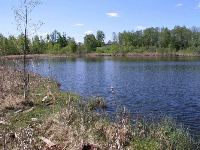 Maakond: Viljandimaa Veekogu nimi: Pirmastu Rõikajärv Pildistamise aeg: 17. mai 2004 Pildistaja: H. Timm Pildistamise koht: teadmata Asimuut: