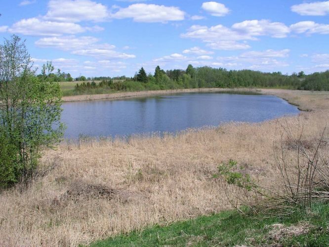 Maakond: Viljandimaa Veekogu nimi: Pirmastu Tillijärv Pildistamise aeg: 17. mai 2004 Pildistaja: H. Timm Pildistamise koht: teadmata Asimuut: