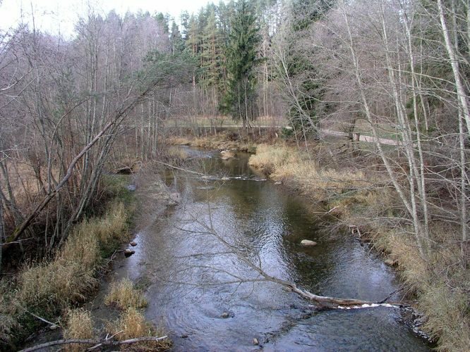 Maakond: Võrumaa Veekogu nimi: Piusa jõgi Pildistamise aeg: 23. november 2005 Pildistaja: H. Timm Pildistamise koht: Tellaste sillalt Asimuut: