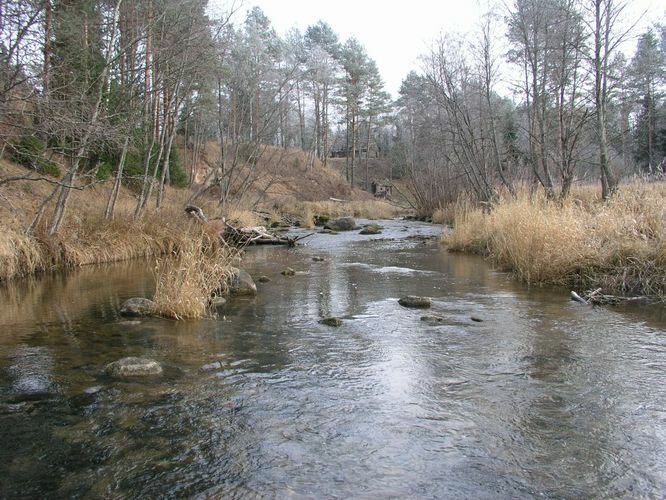 Maakond: Võrumaa Veekogu nimi: Piusa jõgi Pildistamise aeg: 23. november 2005 Pildistaja: H. Timm Pildistamise koht: Tellaste ülalpoool silda Asimuut: