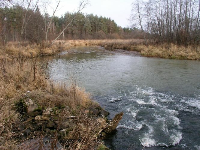 Maakond: Võrumaa Veekogu nimi: Piusa jõgi Pildistamise aeg: 23. november 2005 Pildistaja: H. Timm Pildistamise koht: Saarõ veski Asimuut: