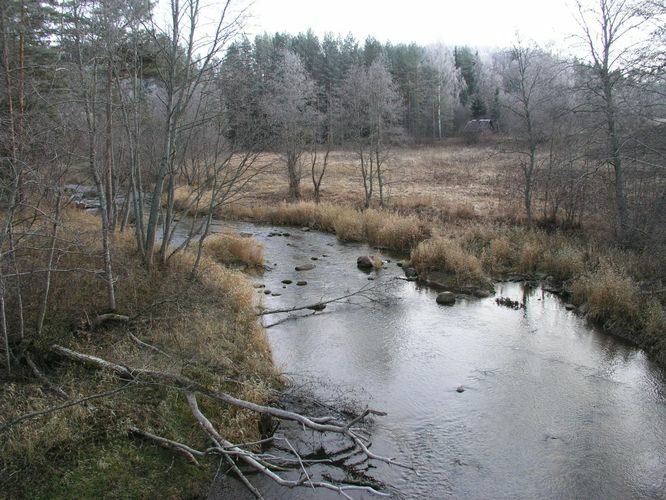 Maakond: Võrumaa Veekogu nimi: Piusa jõgi Pildistamise aeg: 23. november 2005 Pildistaja: H. Timm Pildistamise koht: Tellaste sillalt Asimuut: