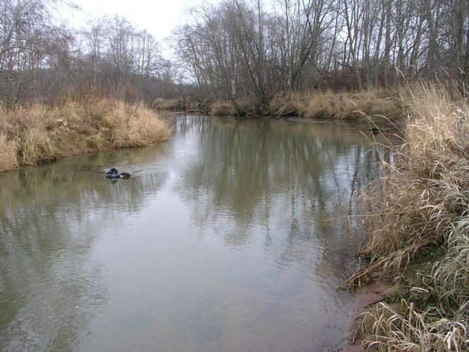 Maakond: Võrumaa Veekogu nimi: Piusa jõgi Pildistamise aeg: 23. november 2005 Pildistaja: H. Timm Pildistamise koht: Võmmorski sild Asimuut: