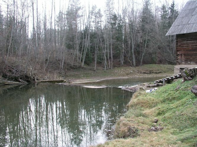 Maakond: Võrumaa Veekogu nimi: Piusa jõgi Pildistamise aeg: 23. november 2005 Pildistaja: H. Timm Pildistamise koht: Väiko-Härmä pais Asimuut: