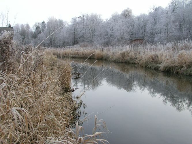 Maakond: Võrumaa Veekogu nimi: Piusa jõgi Pildistamise aeg: 23. november 2005 Pildistaja: H. Timm Pildistamise koht: Oro veski Asimuut: