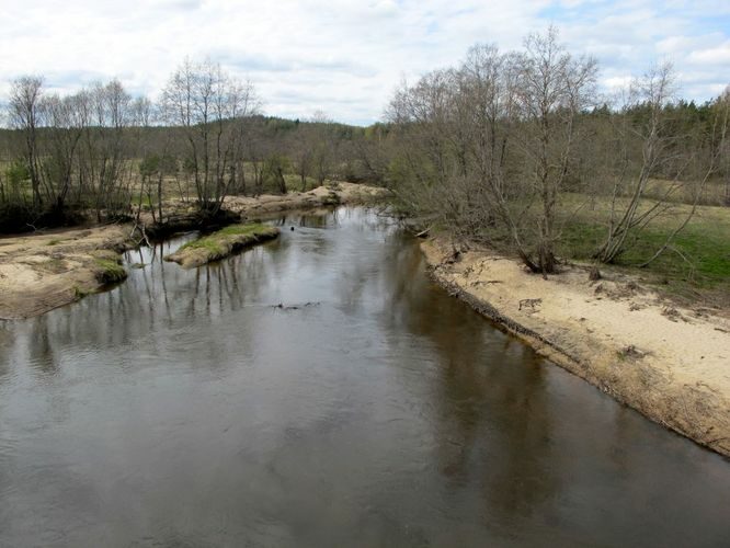 Maakond: Võrumaa Veekogu nimi: Piusa jõgi Pildistamise aeg: 3. mai 2011 Pildistaja: H. Timm Pildistamise koht: Saatse tee Asimuut: