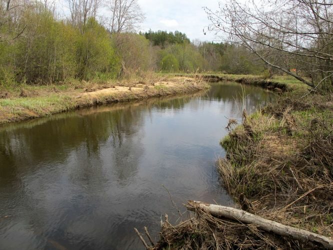 Maakond: Võrumaa Veekogu nimi: Piusa jõgi Pildistamise aeg: 3. mai 2011 Pildistaja: H. Timm Pildistamise koht: Piusa - Obinitsa Asimuut: