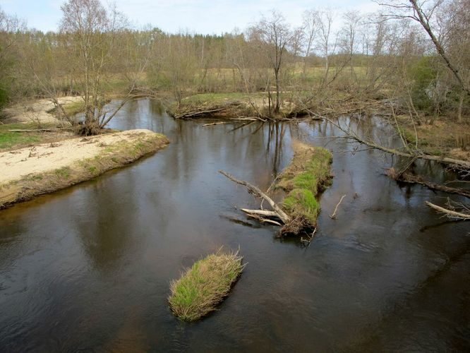 Maakond: Võrumaa Veekogu nimi: Piusa jõgi Pildistamise aeg: 3. mai 2011 Pildistaja: H. Timm Pildistamise koht: Saatse tee Asimuut: