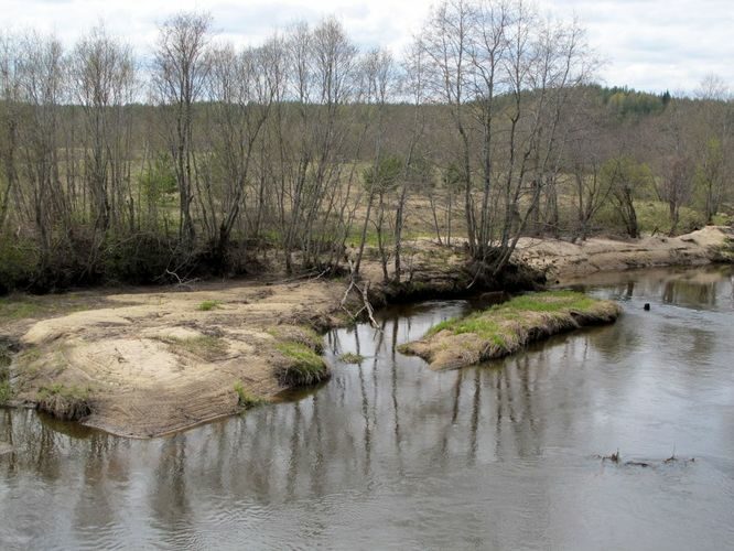 Maakond: Võrumaa Veekogu nimi: Piusa jõgi Pildistamise aeg: 3. mai 2011 Pildistaja: H. Timm Pildistamise koht: Saatse tee Asimuut: