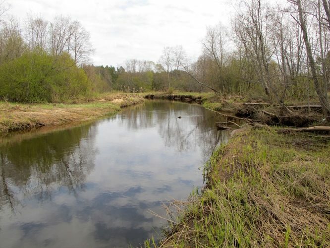 Maakond: Võrumaa Veekogu nimi: Piusa jõgi Pildistamise aeg: 3. mai 2011 Pildistaja: H. Timm Pildistamise koht: Piusa - Obinitsa Asimuut: