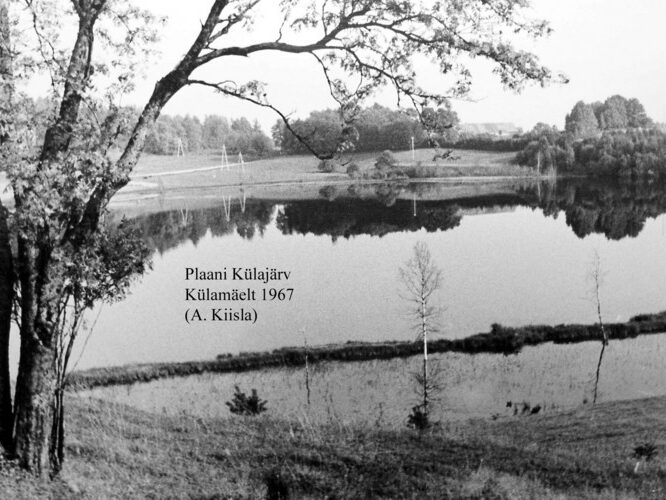 Maakond: Võrumaa Veekogu nimi: Plaani Külajärv Pildistamise aeg: 1967 Pildistaja: A. Kiisla (Eesti Looduse arhiiv) Pildistamise koht: K Asimuut: