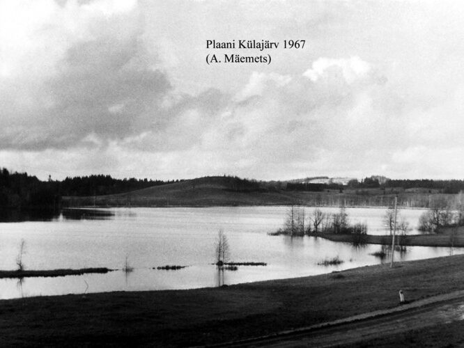 Maakond: Võrumaa Veekogu nimi: Plaani Külajärv Pildistamise aeg: 1967 Pildistaja: A. Mäemets Pildistamise koht: teadmata Asimuut: