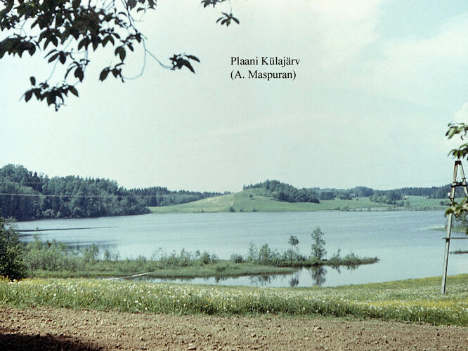 Maakond: Võrumaa Veekogu nimi: Plaani Külajärv Pildistamise aeg: teadmata Pildistaja: A. Maspuran Pildistamise koht: teadmata Asimuut: