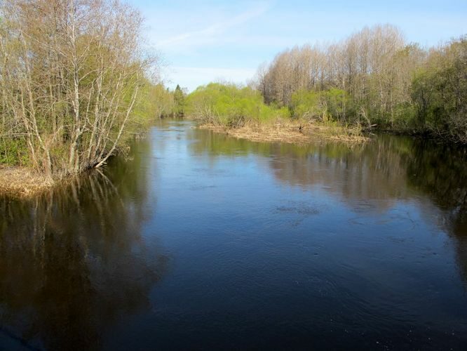 Maakond: Viljandimaa Veekogu nimi: Põltsamaa jõgi Pildistamise aeg: 7. mai 2011 Pildistaja: H. Timm Pildistamise koht: Laashoone Asimuut: