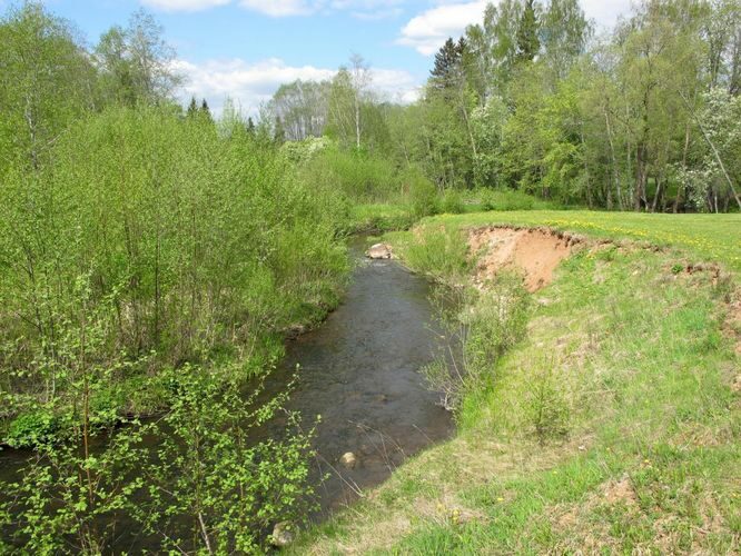 Maakond: Viljandimaa Veekogu nimi: Pöögle oja Pildistamise aeg: 15. mai 2012 Pildistaja: H. Timm Pildistamise koht: Abja - Nuia Asimuut: