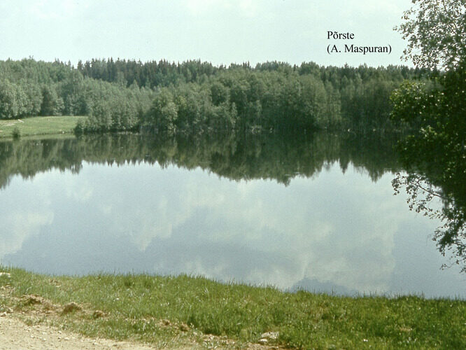 Maakond: Võrumaa Veekogu nimi: Põrste järv Pildistamise aeg: teadmata Pildistaja: A. Maspuran Pildistamise koht: teadmata Asimuut: