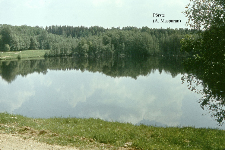 Maakond: Võrumaa Veekogu nimi: Põrste järv Pildistamise aeg: teadmata Pildistaja: A. Maspuran Pildistamise koht: teadmata Asimuut: