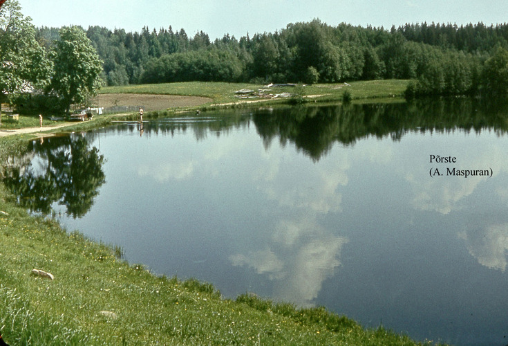 Maakond: Võrumaa Veekogu nimi: Põrste järv Pildistamise aeg: teadmata Pildistaja: A. Maspuran Pildistamise koht: teadmata Asimuut: