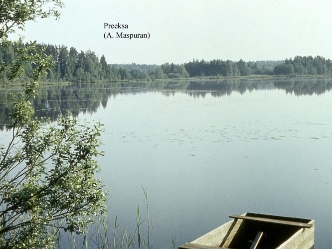 Maakond: Võrumaa Veekogu nimi: Preeksa järv Pildistamise aeg: teadmata Pildistaja: A. Maspuran Pildistamise koht: teadmata Asimuut: