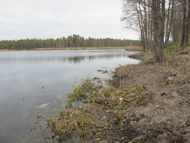 Maakond: Võrumaa Veekogu nimi: Preeksa järv Pildistamise aeg: 3. mai 2012 Pildistaja: H. Timm Pildistamise koht: teadmata Asimuut: