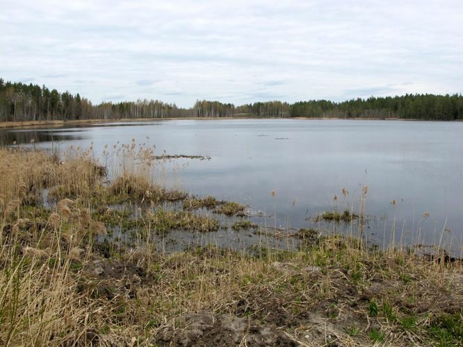 Maakond: Võrumaa Veekogu nimi: Preeksa järv Pildistamise aeg: 3. mai 2012 Pildistaja: H. Timm Pildistamise koht: teadmata Asimuut: