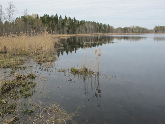 Maakond: Võrumaa Veekogu nimi: Preeksa järv Pildistamise aeg: 3. mai 2012 Pildistaja: H. Timm Pildistamise koht: teadmata Asimuut: