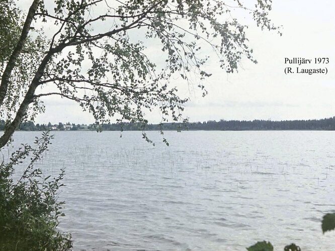 Maakond: Võrumaa Veekogu nimi: Pullijärv Pildistamise aeg: 1981 Pildistaja: R. Laugaste Pildistamise koht: teadmata Asimuut: