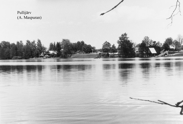 Maakond: Võrumaa Veekogu nimi: Pullijärv Pildistamise aeg: teadmata Pildistaja: A. Maspuran Pildistamise koht: teadmata Asimuut: