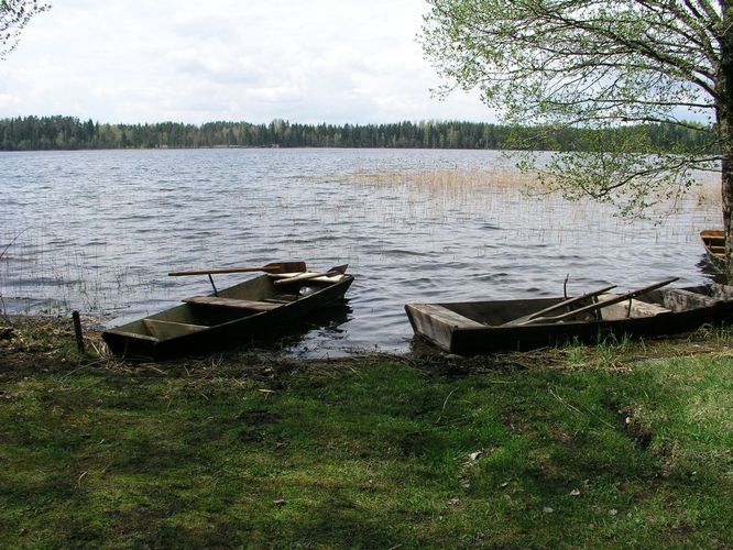 Maakond: Võrumaa Veekogu nimi: Pullijärv Pildistamise aeg: 5. mai 2008 Pildistaja: H. Timm Pildistamise koht: teadmata Asimuut: