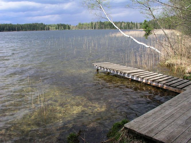 Maakond: Võrumaa Veekogu nimi: Pullijärv Pildistamise aeg: 5. mai 2008 Pildistaja: H. Timm Pildistamise koht: teadmata Asimuut: