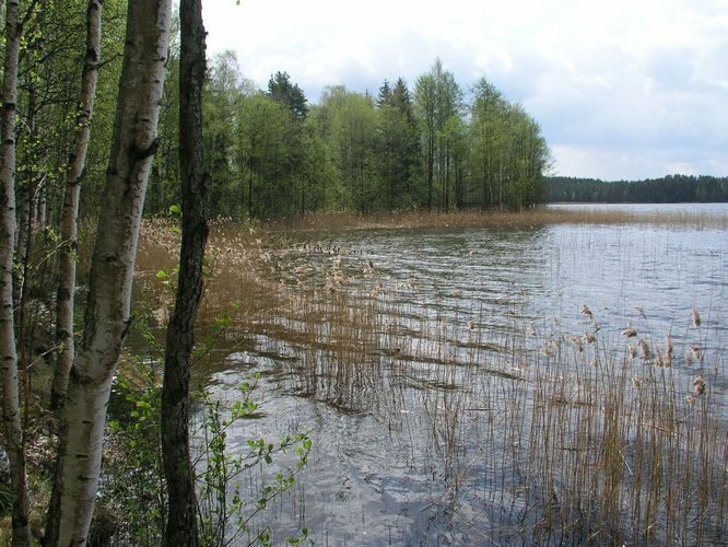 Maakond: Võrumaa Veekogu nimi: Pullijärv Pildistamise aeg: 5. mai 2008 Pildistaja: H. Timm Pildistamise koht: teadmata Asimuut: