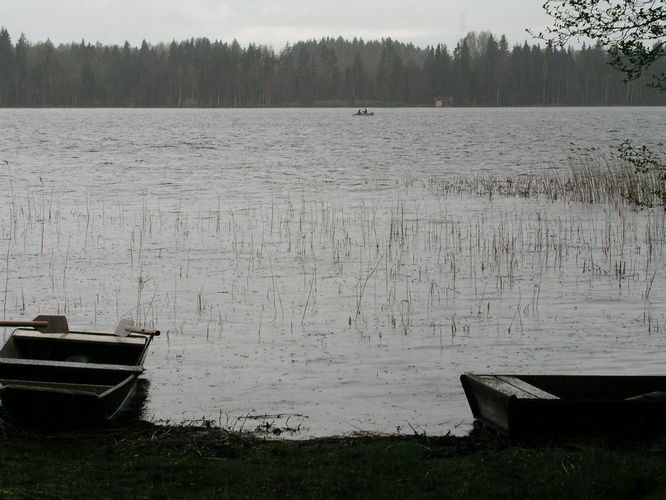 Maakond: Võrumaa Veekogu nimi: Pullijärv Pildistamise aeg: 5. mai 2008 Pildistaja: H. Timm Pildistamise koht: teadmata Asimuut: