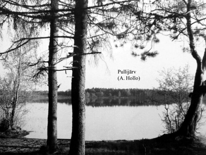 Maakond: Võrumaa Veekogu nimi: Pullijärv Pildistamise aeg: teadmata Pildistaja: A. Hollo (Eesti Looduse arhiiv) Pildistamise koht: teadmata Asimuut: